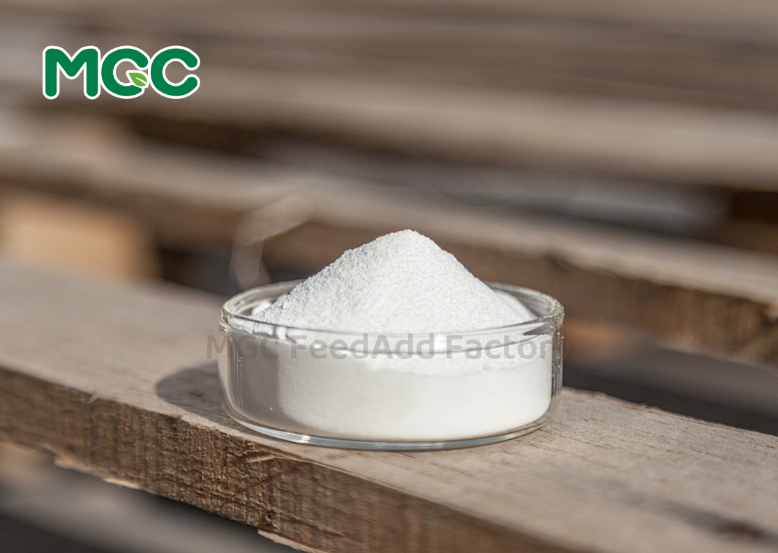 Nicotinamide (Vitamin B3)